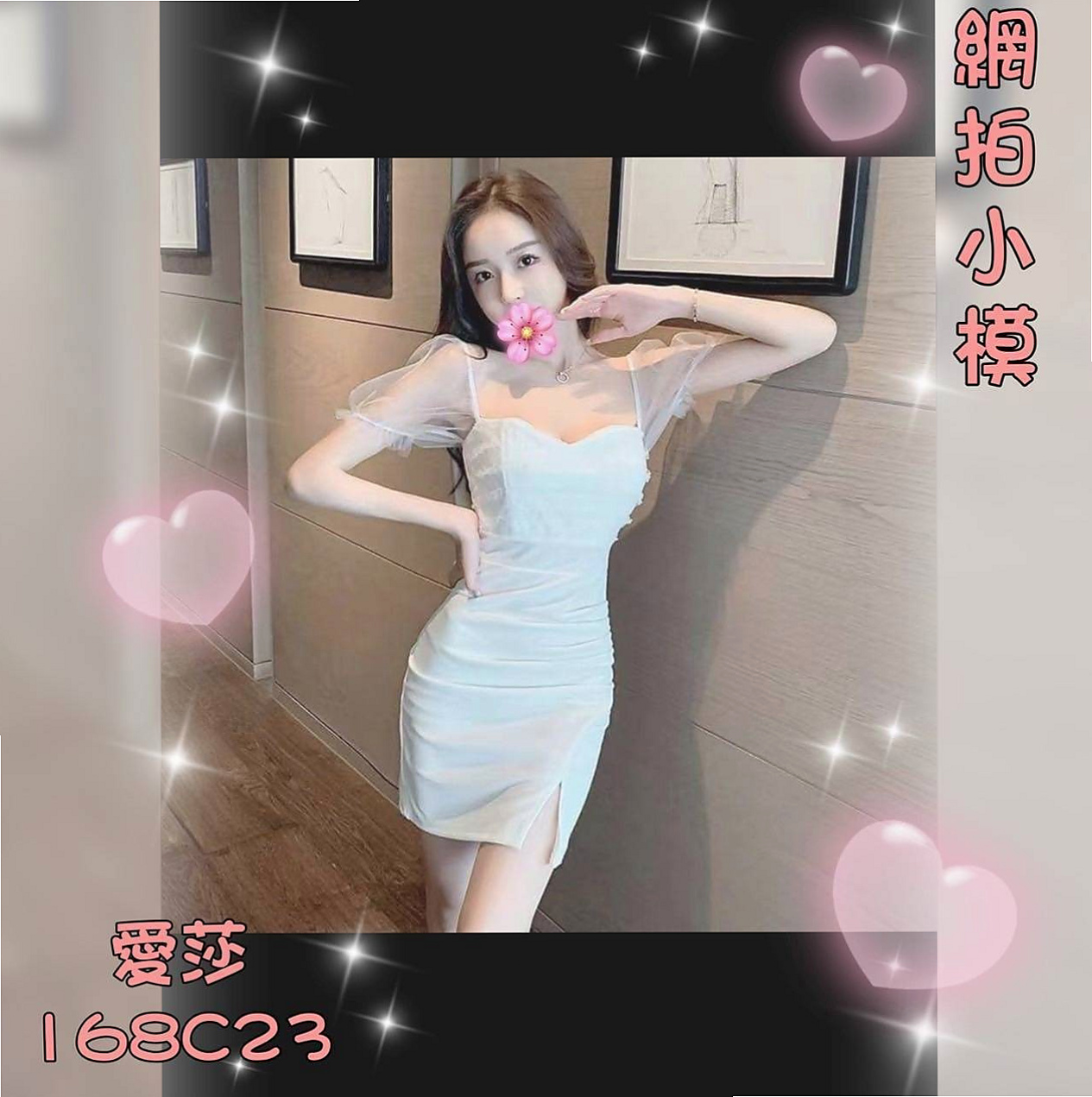 屏東定點茶